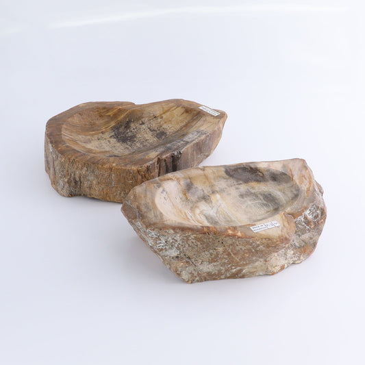 Petrified Wood Bowls Set of 2
