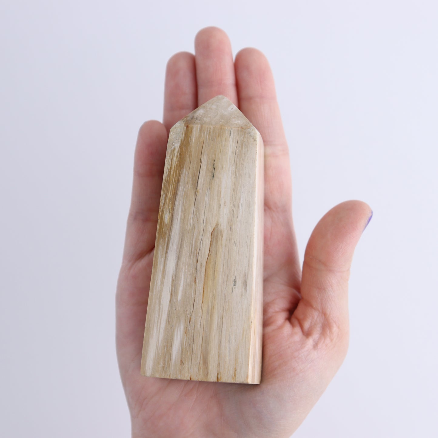 Petrified Wood Towers Set of 4 - Expert Wholesale and Supplier of Wholesale Crystals & Bulk Gemstones, ["Indonesia","Petrified Wood","Towers"]