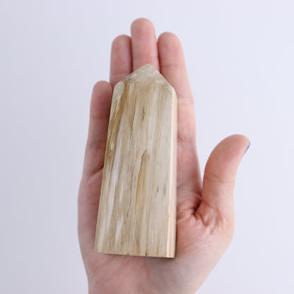 Petrified Wood Towers Set of 4 - Expert Wholesale and Supplier of Wholesale Crystals & Bulk Gemstones, ["Indonesia","Petrified Wood","Towers"]
