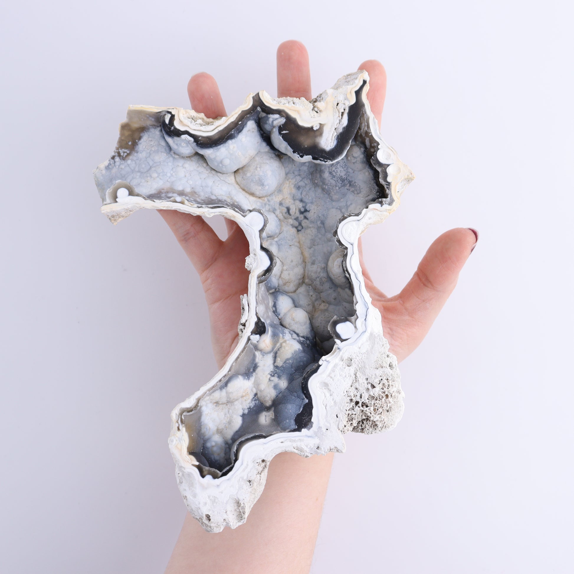 Agatized Coral Flat - Expert Wholesale and Supplier of Wholesale Crystals & Bulk Gemstones, ["Agate","Agatized Coral","Coral","United States"]