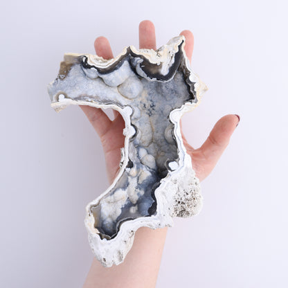 Agatized Coral Flat - Expert Wholesale and Supplier of Wholesale Crystals & Bulk Gemstones, ["Agate","Agatized Coral","Coral","United States"]