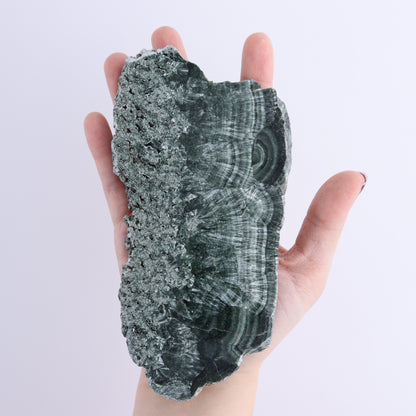 Seraphinite Slices Set of 3 - Expert Wholesale and Supplier of Wholesale Crystals & Bulk Gemstones, ["Russia","Seraphinite","Slices and Slabs"]