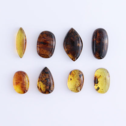 Chiapas Mexico Amber Cabs Set of 8 - Expert Wholesale and Supplier of Wholesale Crystals & Bulk Gemstones, ["Amber","Cabs","Chiapas Amber","Mexico"]