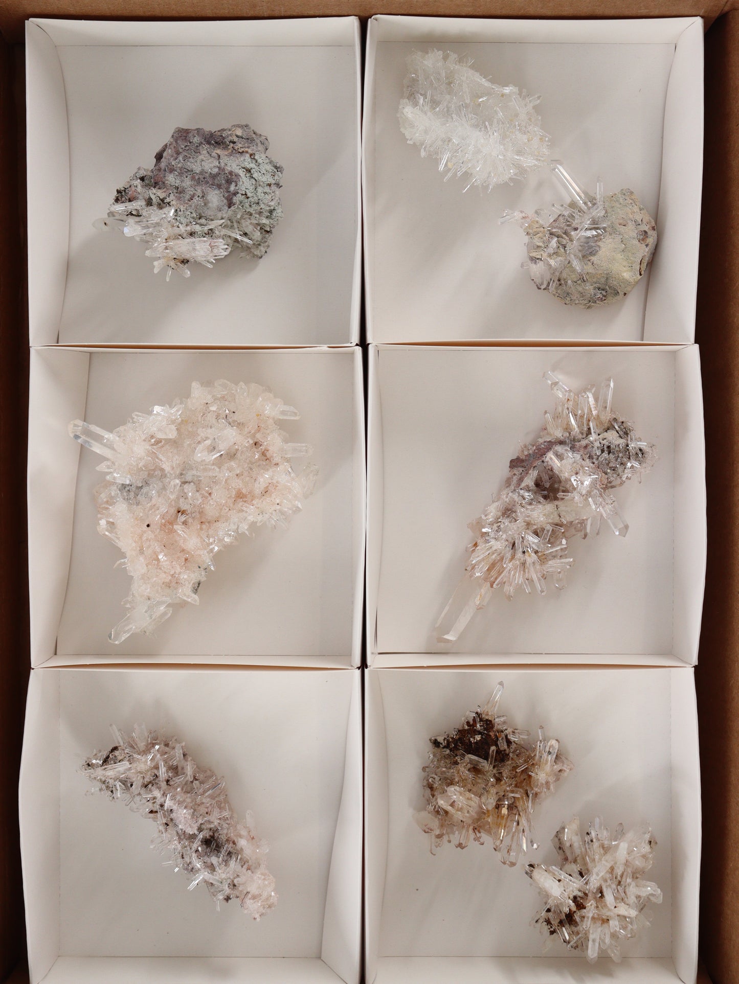 Lemurian Clusters Set of 8