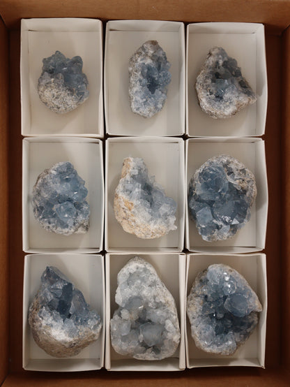 Celestite Clusters Set of 9 - Expert Wholesale and Supplier of Wholesale Crystals & Bulk Gemstones, []