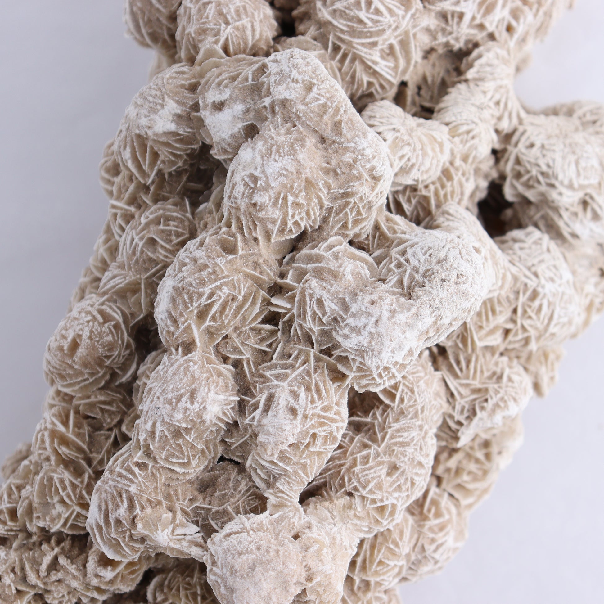 Desert Rose Cluster - Expert Wholesale and Supplier of Wholesale Crystals & Bulk Gemstones, ["Desert Rose","Freeforms"]