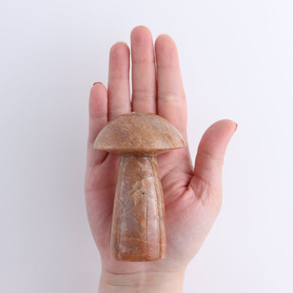 Peach Moonstone Mushrooms Set of 6