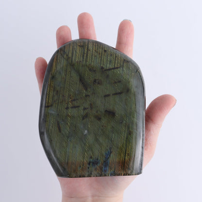 Labradorite Freeform Set of 3