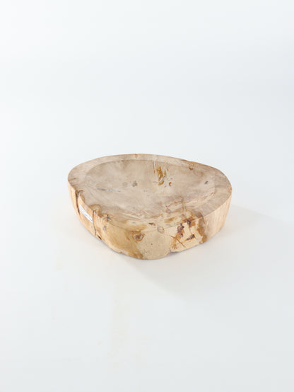 Petrified Wood Bowl - Expert Wholesale and Supplier of Wholesale Crystals & Bulk Gemstones, []