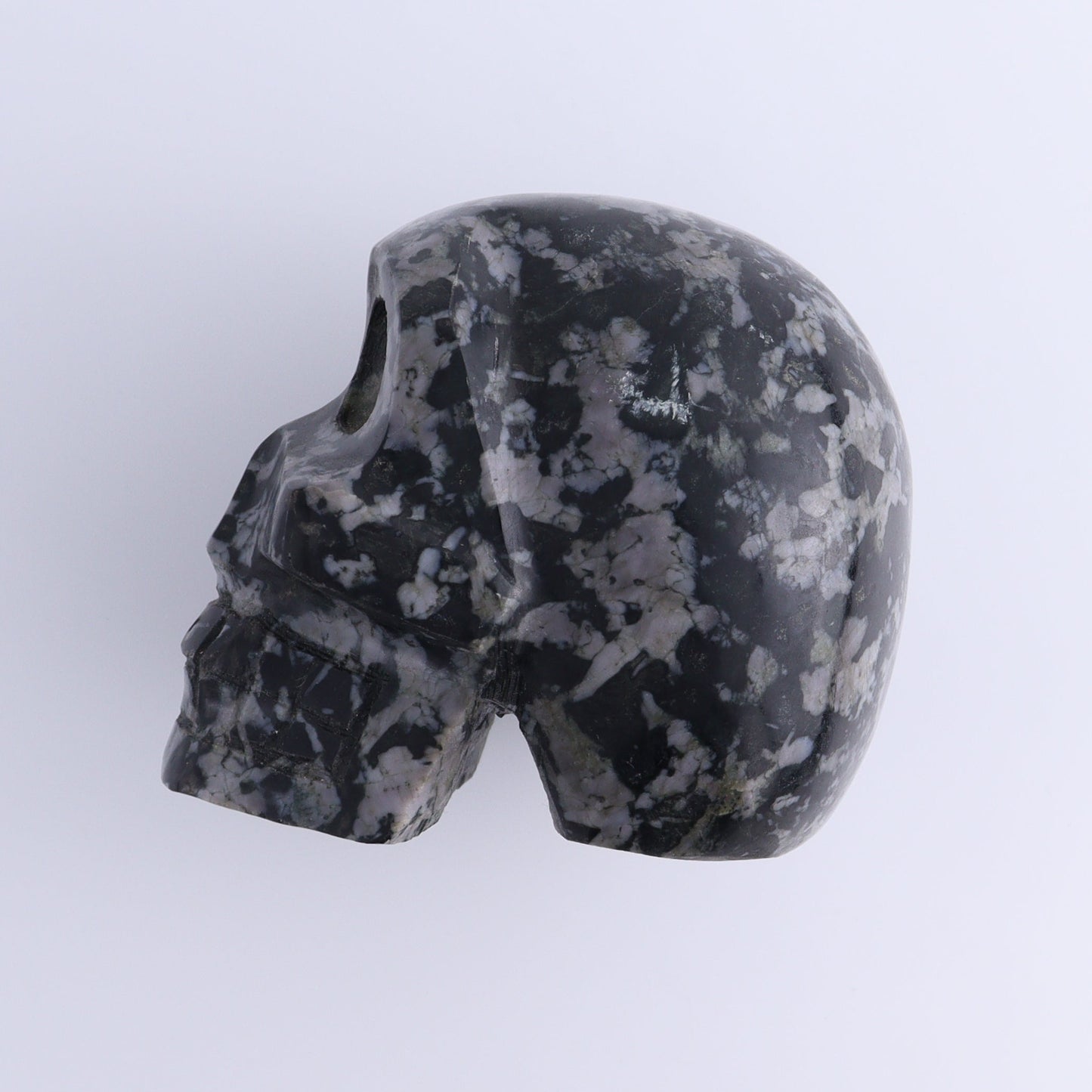 Indigo Gabbro Skull - Expert Wholesale and Supplier of Wholesale Crystals & Bulk Gemstones, ["Indigo Gabbro","Madagascar","Skulls"]