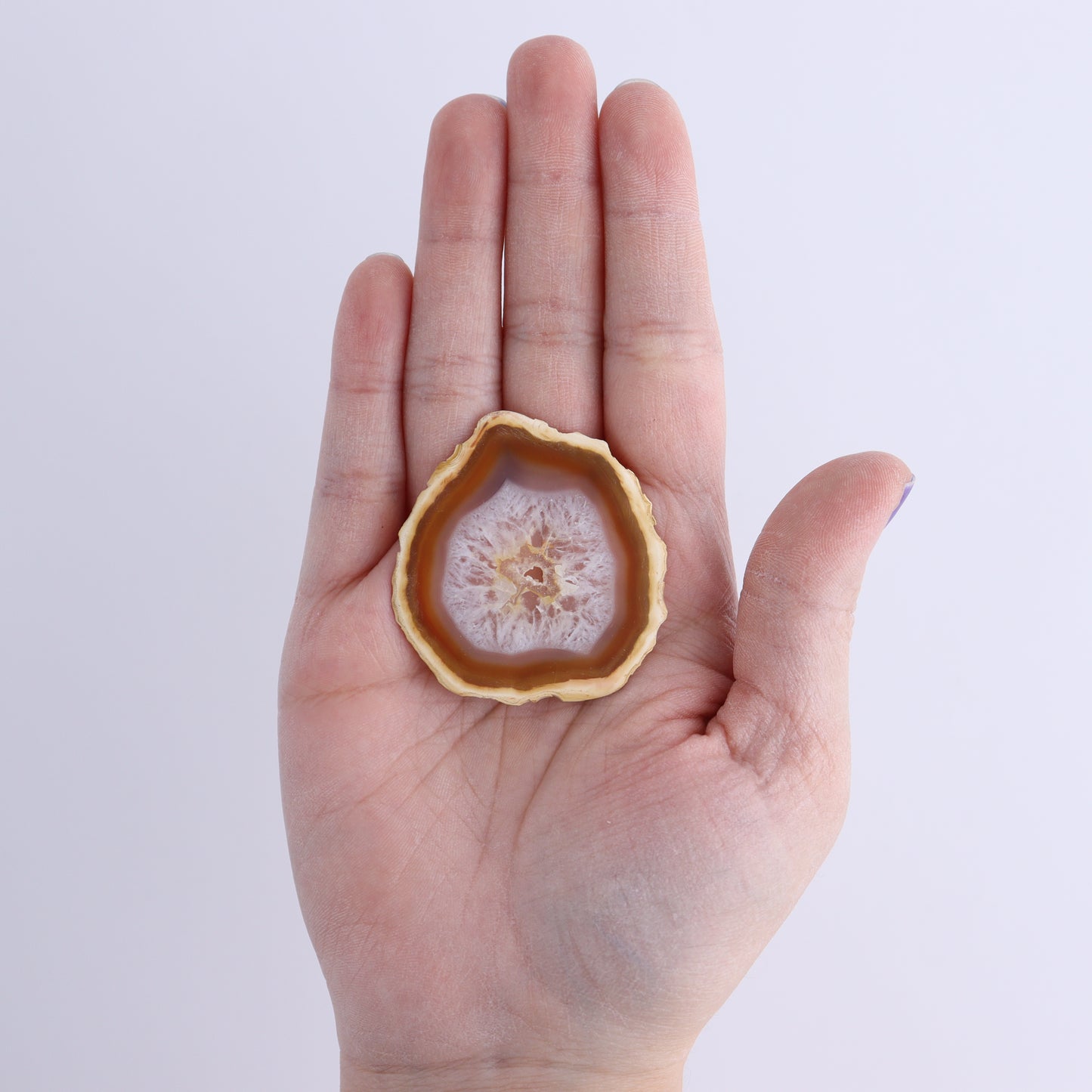 Iris Agate Slices Set of 6 - Expert Wholesale and Supplier of Wholesale Crystals & Bulk Gemstones, ["Agate","Iris Agate","Slices and Slabs"]