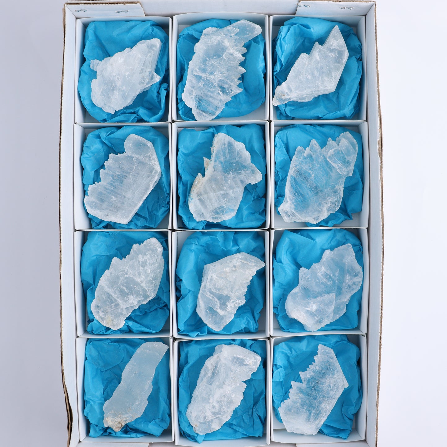 Selenite Set of 12 - Expert Wholesale and Supplier of Wholesale Crystals & Bulk Gemstones, ["Rough","selenite"]
