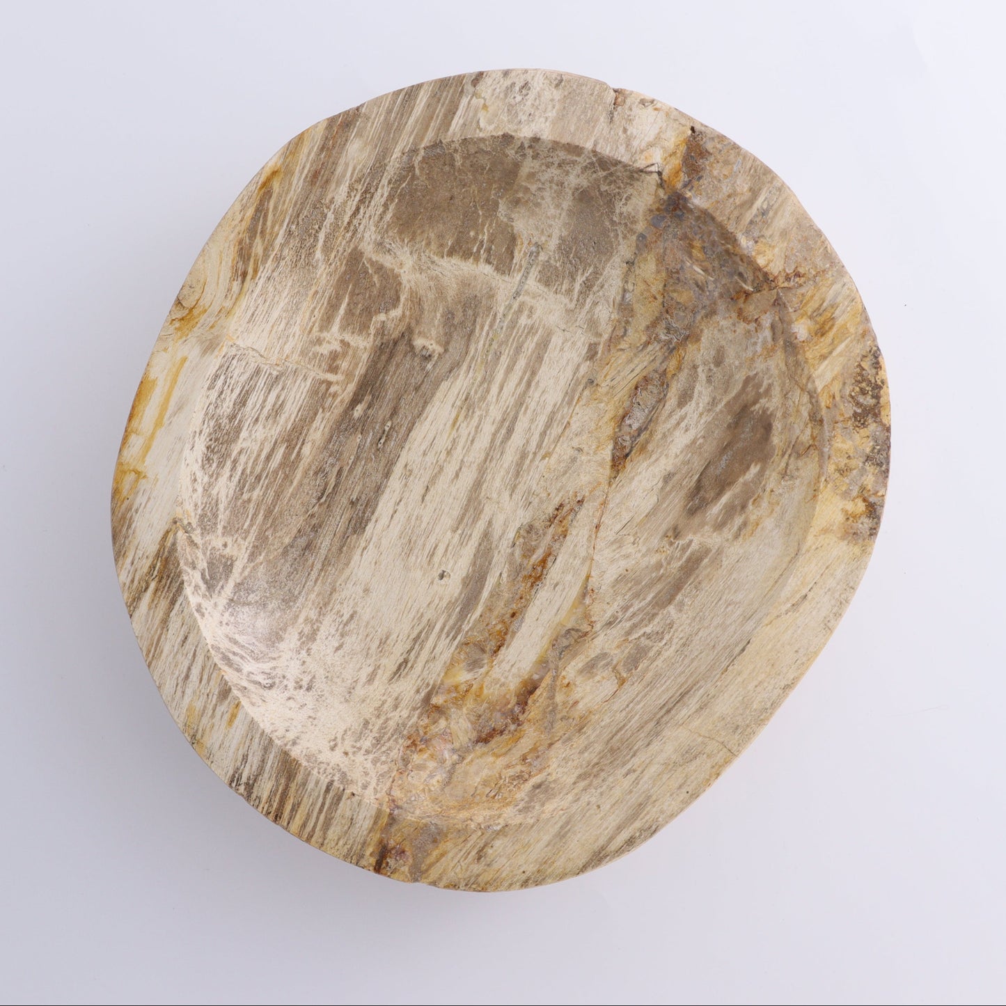 Petrified Wood Bowl - Expert Wholesale and Supplier of Wholesale Crystals & Bulk Gemstones, ["Bowls","Indonesia","Petrified Wood"]