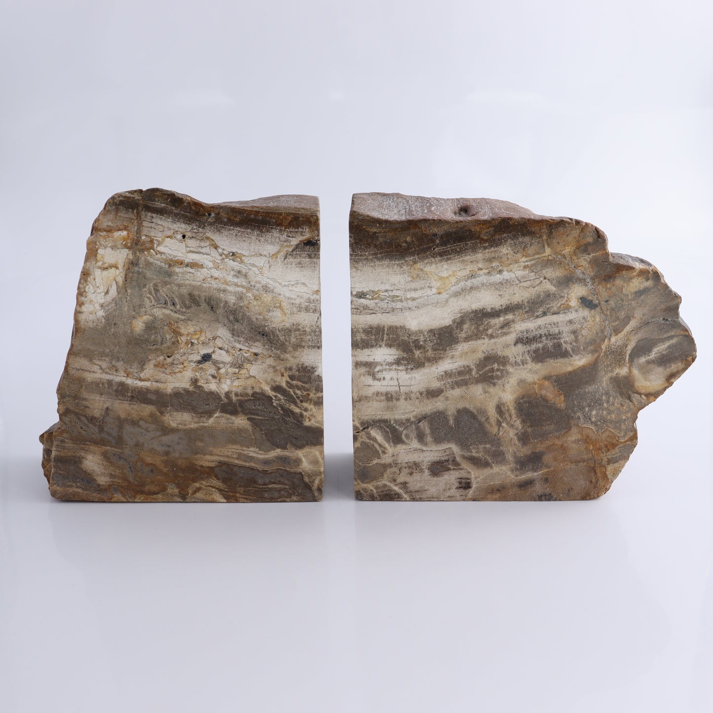 Bookends Petrified Wood - Expert Wholesale and Supplier of Wholesale Crystals & Bulk Gemstones, ["Bookends","Indonesia","Petrified Wood"]