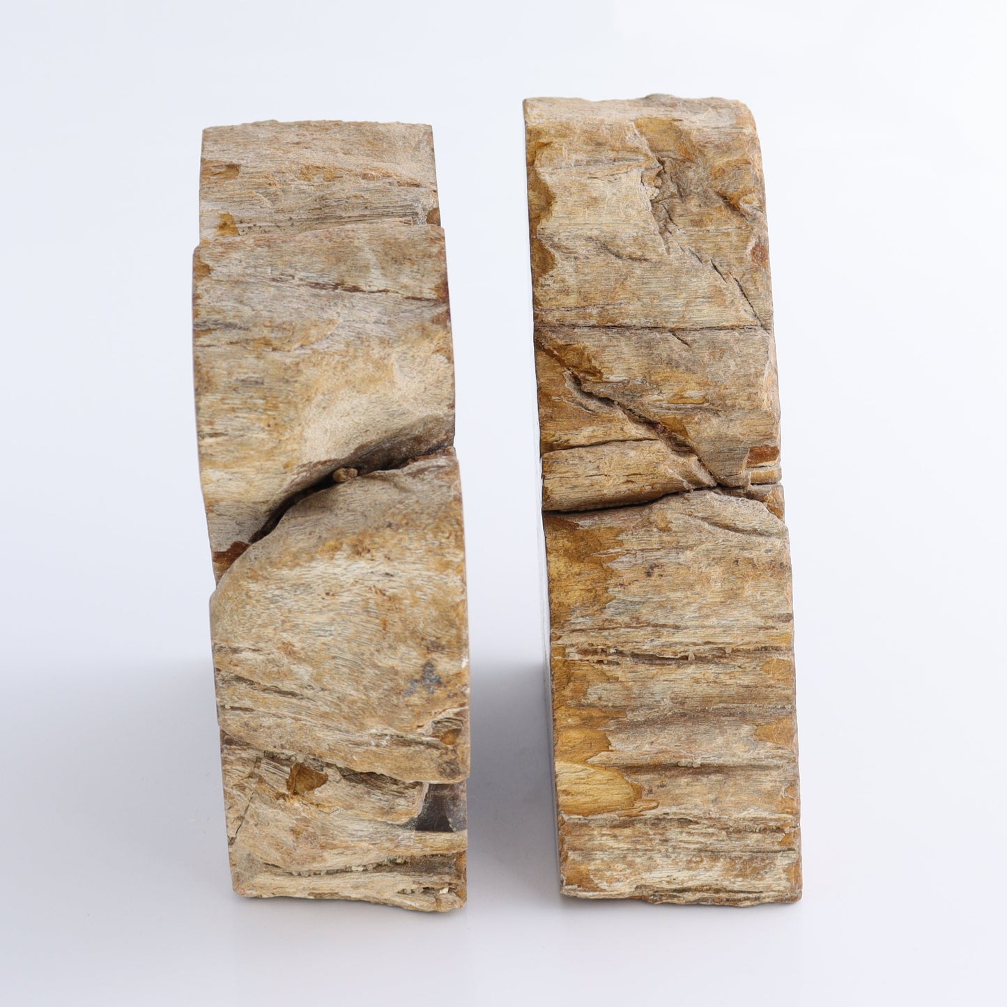 Bookends Petrified Wood - Expert Wholesale and Supplier of Wholesale Crystals & Bulk Gemstones, ["Bookends","Indonesia","Petrified Wood"]