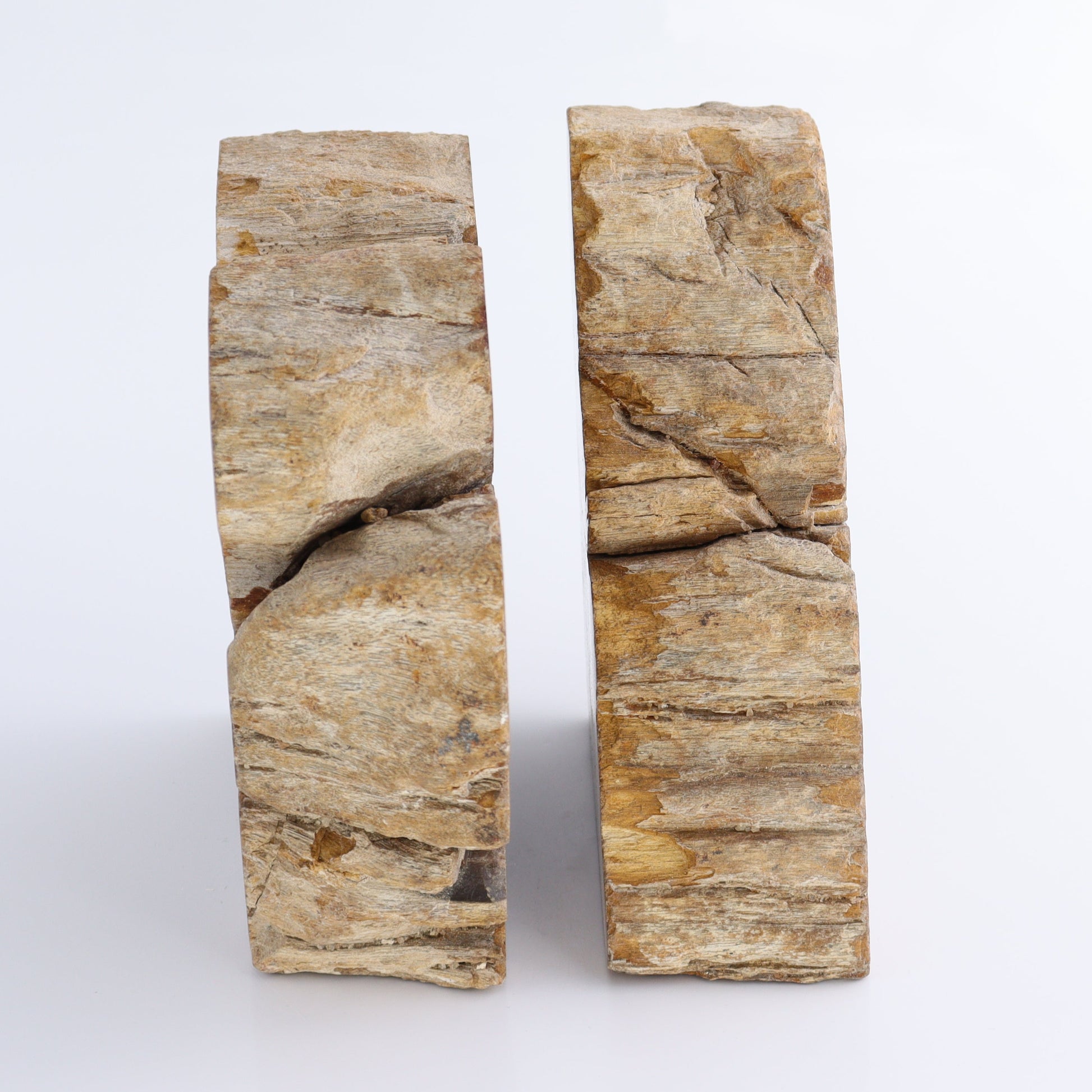Bookends Petrified Wood - Expert Wholesale and Supplier of Wholesale Crystals & Bulk Gemstones, ["Bookends","Indonesia","Petrified Wood"]