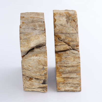 Bookends Petrified Wood - Expert Wholesale and Supplier of Wholesale Crystals & Bulk Gemstones, ["Bookends","Indonesia","Petrified Wood"]
