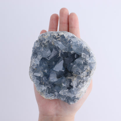 Celestite Clusters Set of 4 - Expert Wholesale and Supplier of Wholesale Crystals & Bulk Gemstones, ["Celestite","Freeform"]