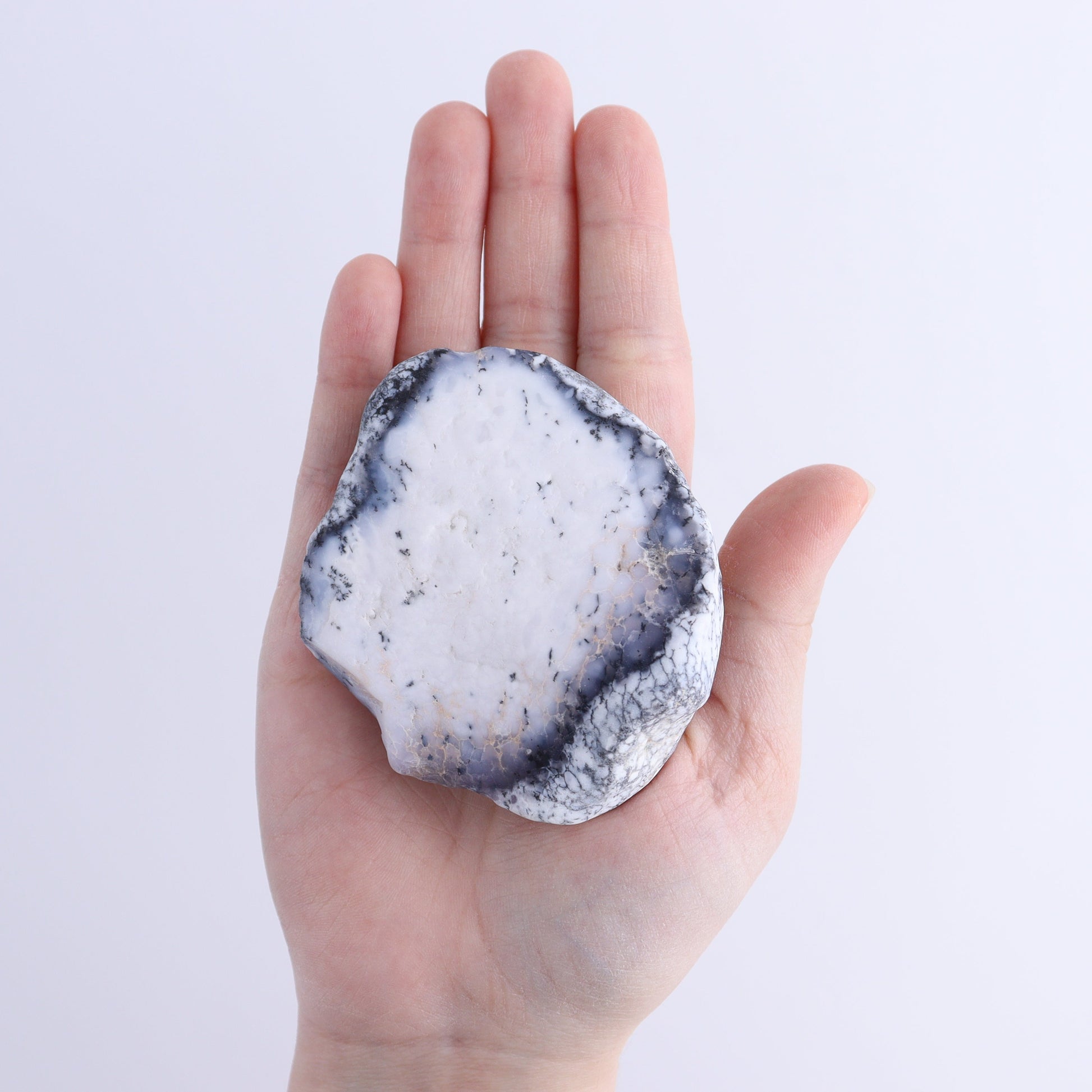 Denditic Agate Freeforms Flat - Expert Wholesale and Supplier of Wholesale Crystals & Bulk Gemstones, ["close_70","Denditic Agate","Freeform","Freeforms"]