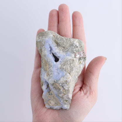 Blue Lace Agate Freeforms Set of 12