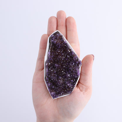 Uruguay Rainbow Amethyst Clusters Flat of 12 - Expert Wholesale and Supplier of Wholesale Crystals & Bulk Gemstones, ["Amethyst","Clusters","Rainbow Amethyst","Sugar Rainbow Amethyst","Uruguay"]
