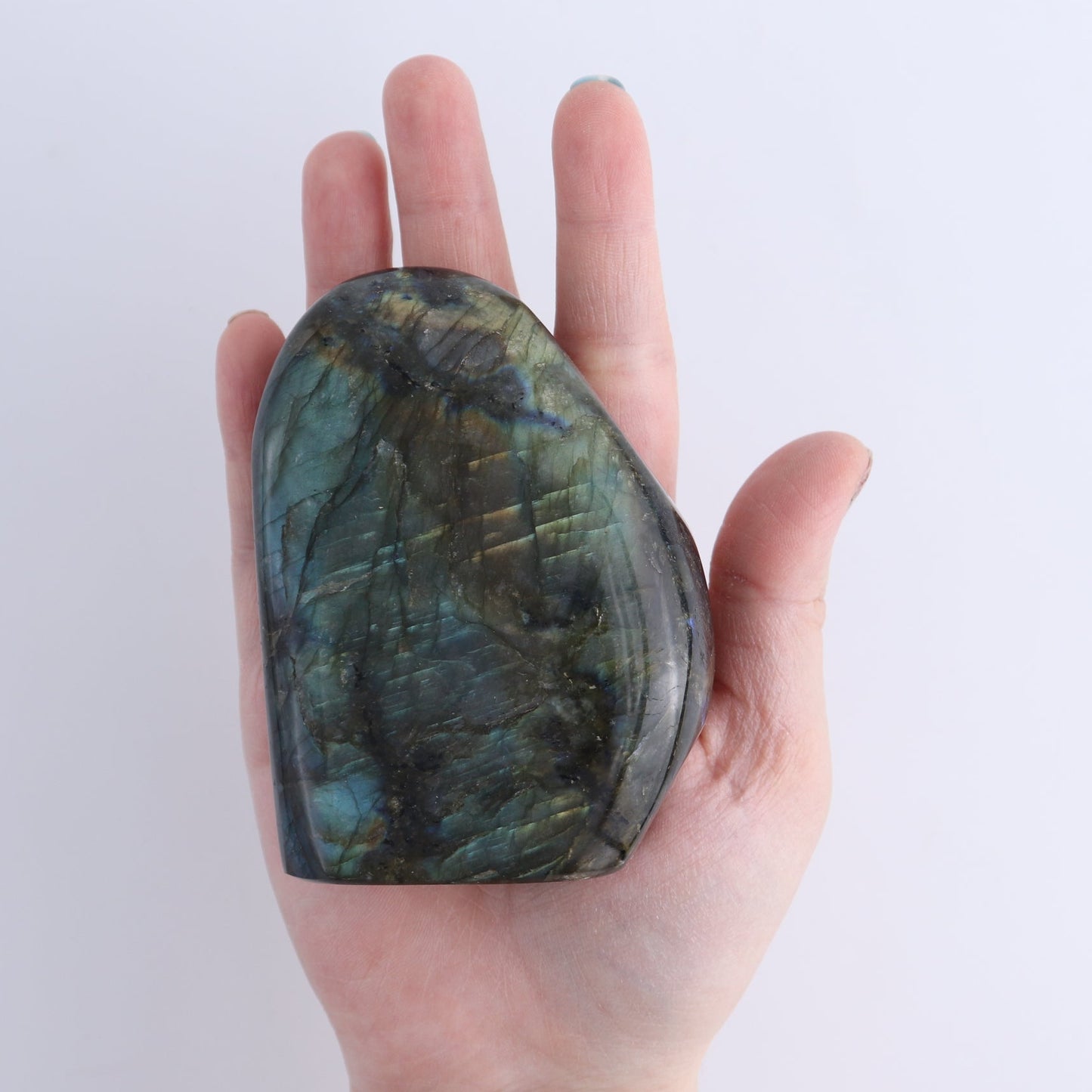 Labradorite Freeform Set of 7