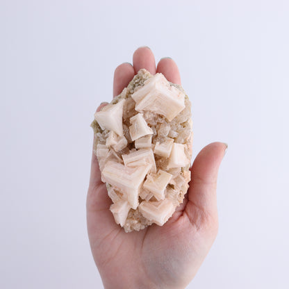 Halite on Trona from Owens Lake Set of 12 - Expert Wholesale and Supplier of Wholesale Crystals & Bulk Gemstones, ["California","Flats","Halite","halite on trona","Pink Halite","United States"]
