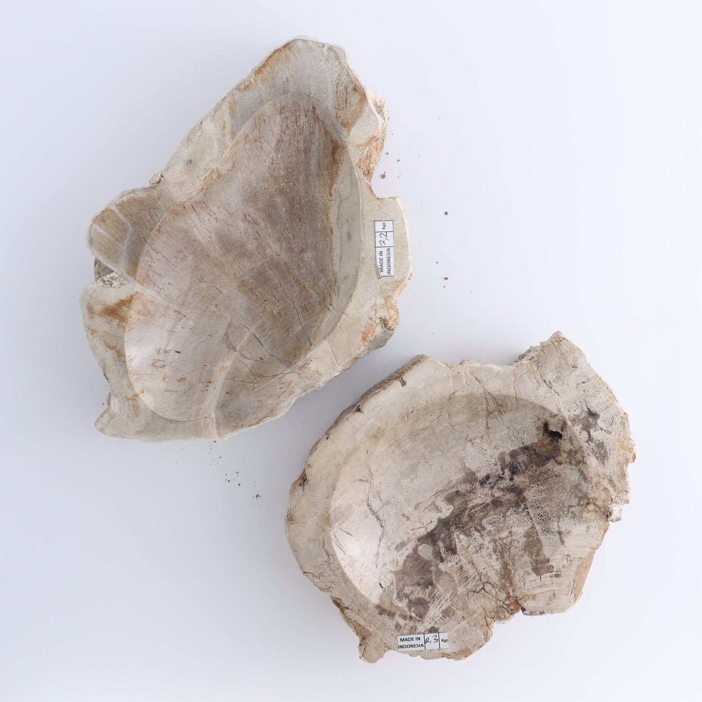 One Petrified Wood Beige Rough Bowl