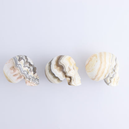 Onyx Skulls Set of 3 - Expert Wholesale and Supplier of Wholesale Crystals & Bulk Gemstones, ["Mexico","onyx","Skulls"]