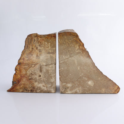 Bookends Petrified Wood - Expert Wholesale and Supplier of Wholesale Crystals & Bulk Gemstones, ["Bookends","Indonesia","Petrified Wood"]