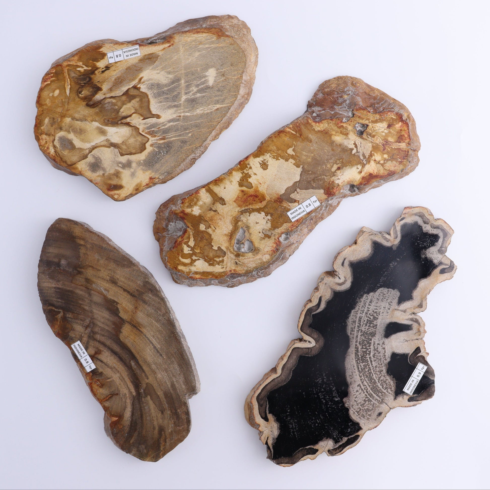 Petrified Wood Slices & Slabs Set of 4 - Expert Wholesale and Supplier of Wholesale Crystals & Bulk Gemstones, ["Freeforms","Indonesia","Petrified Wood","Slices and Slabs"]