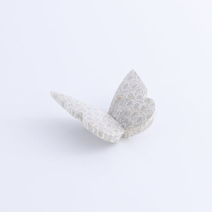 One Fossil Coral Butterfly - Expert Wholesale and Supplier of Wholesale Crystals & Bulk Gemstones, ["Butterflies","Butterfly","fossil coral"]