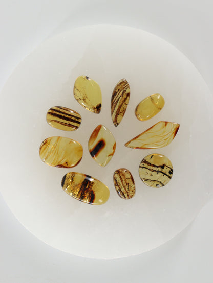 Chiapas Amber Cabs Set of 10