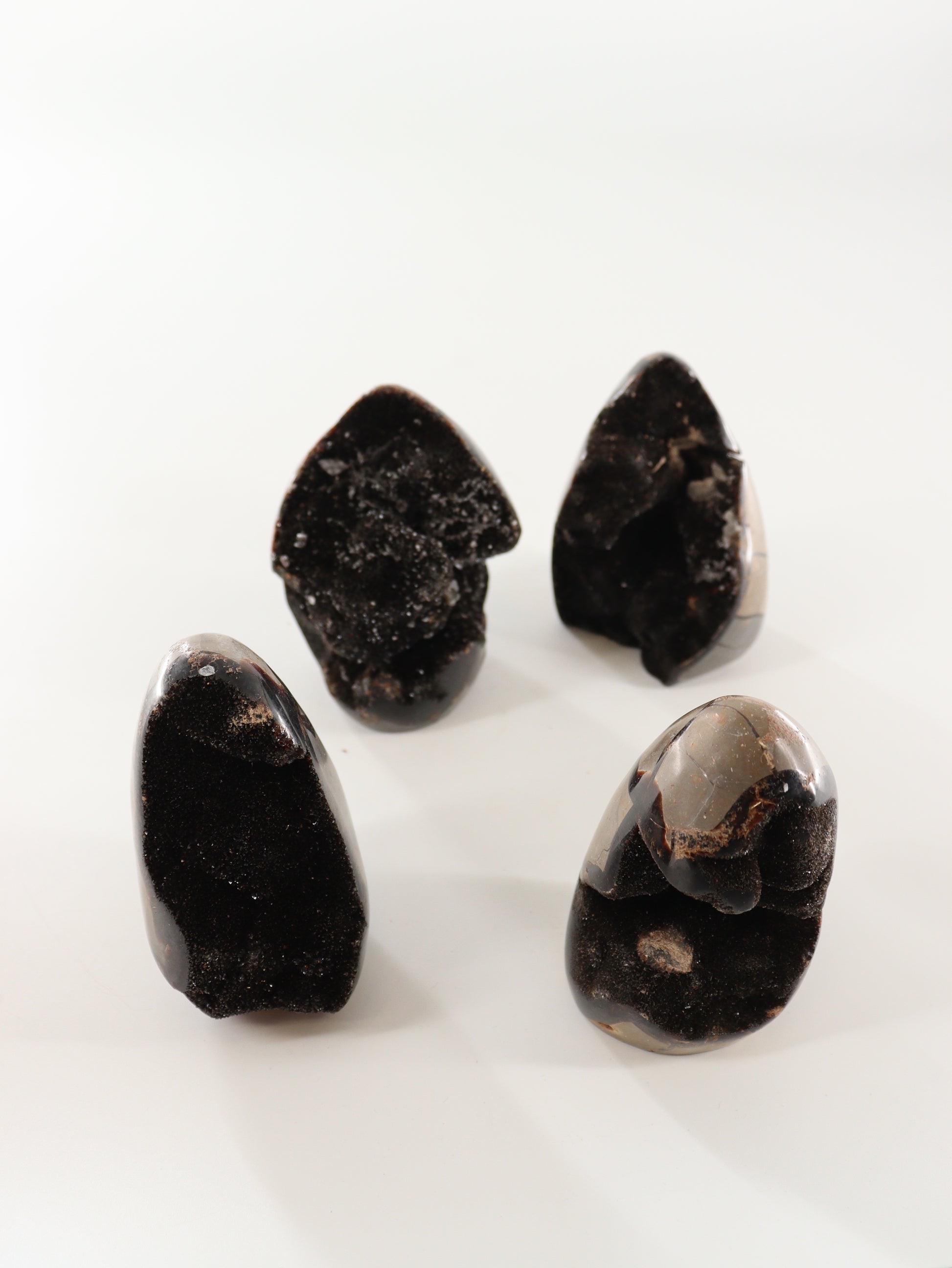 Septarian Cut Bases Set of 4 - Expert Wholesale and Supplier of Wholesale Crystals & Bulk Gemstones, []