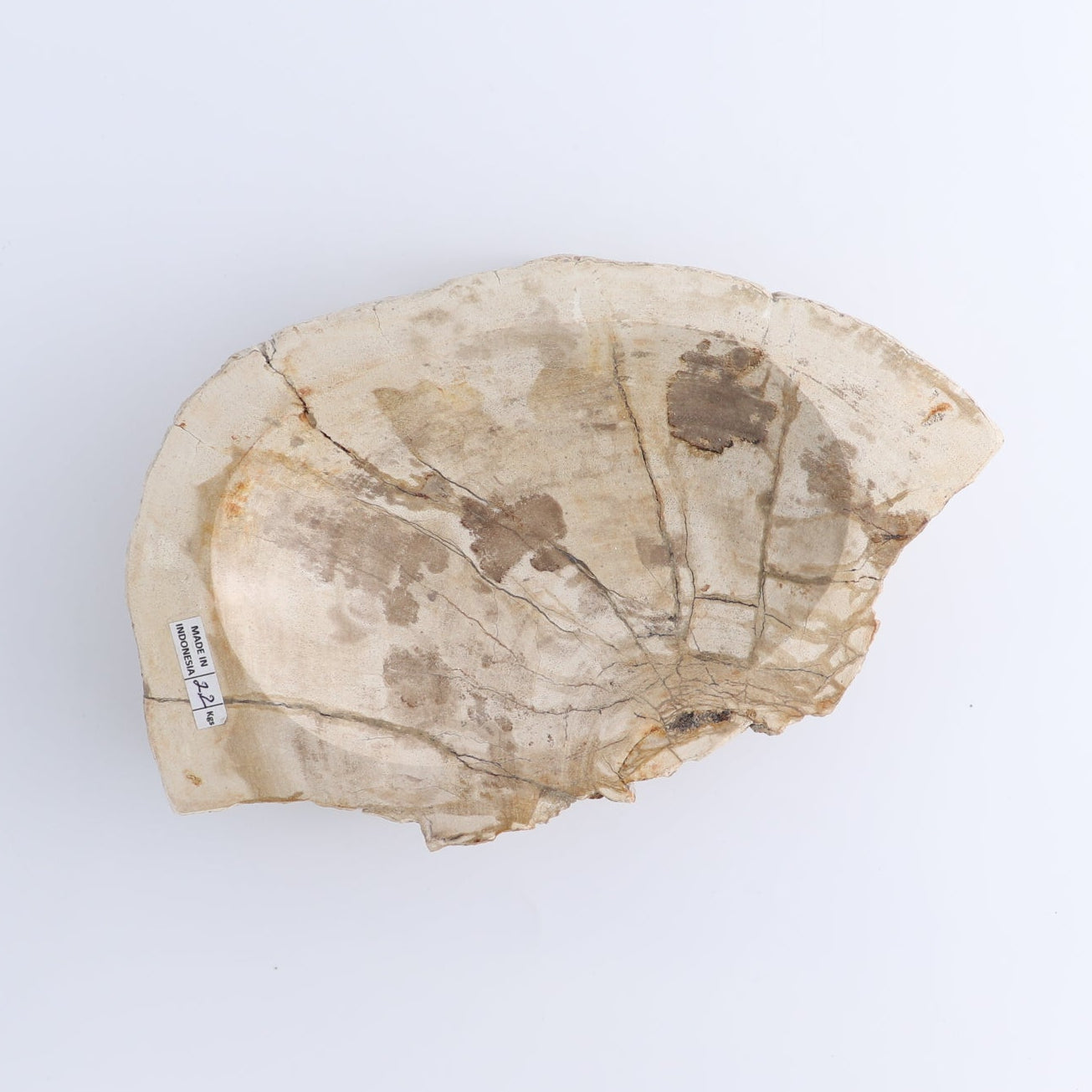 One Petrified Wood Beige Rough Bowl