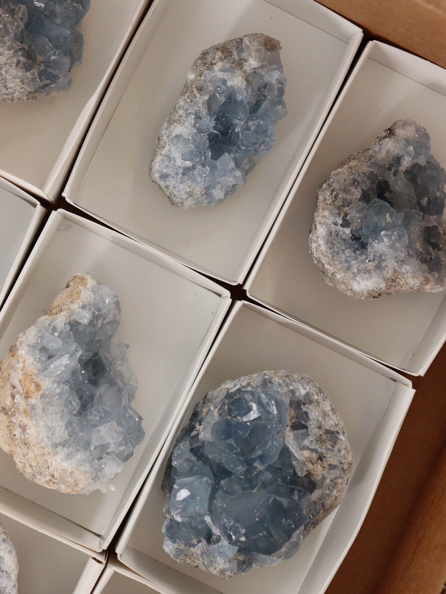 Celestite Clusters Set of 9 - Expert Wholesale and Supplier of Wholesale Crystals & Bulk Gemstones, []