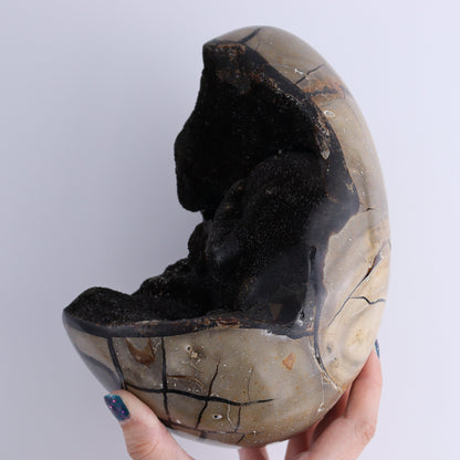 Septarian Egg - Expert Wholesale and Supplier of Wholesale Crystals & Bulk Gemstones, ["Eggs","Septarian"]