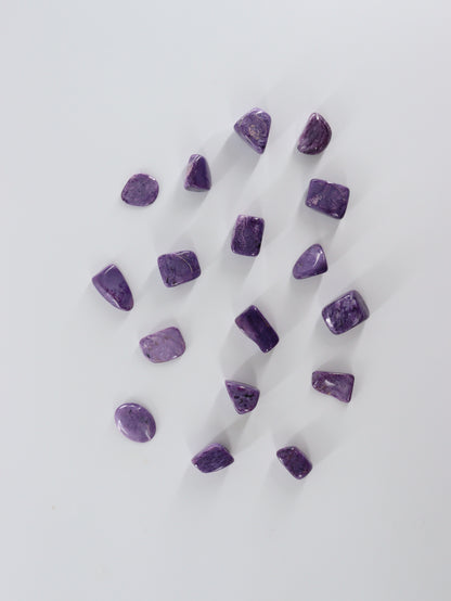 Charoite Tumbles - Expert Supplier of Wholesale Crystals & Bulk Gemstones