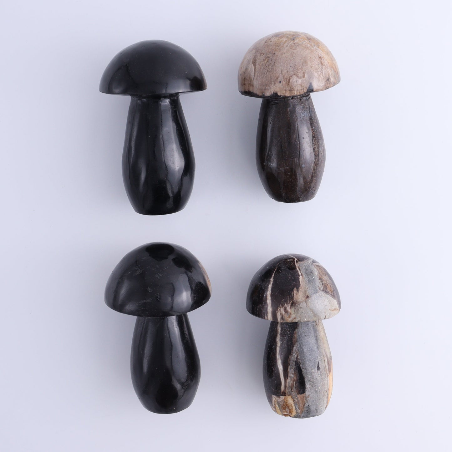 Petrified Wood Mushrooms Set of 4 - Expert Wholesale and Supplier of Wholesale Crystals & Bulk Gemstones, ["Indonesia","Mushrooms","Petrified Wood"]