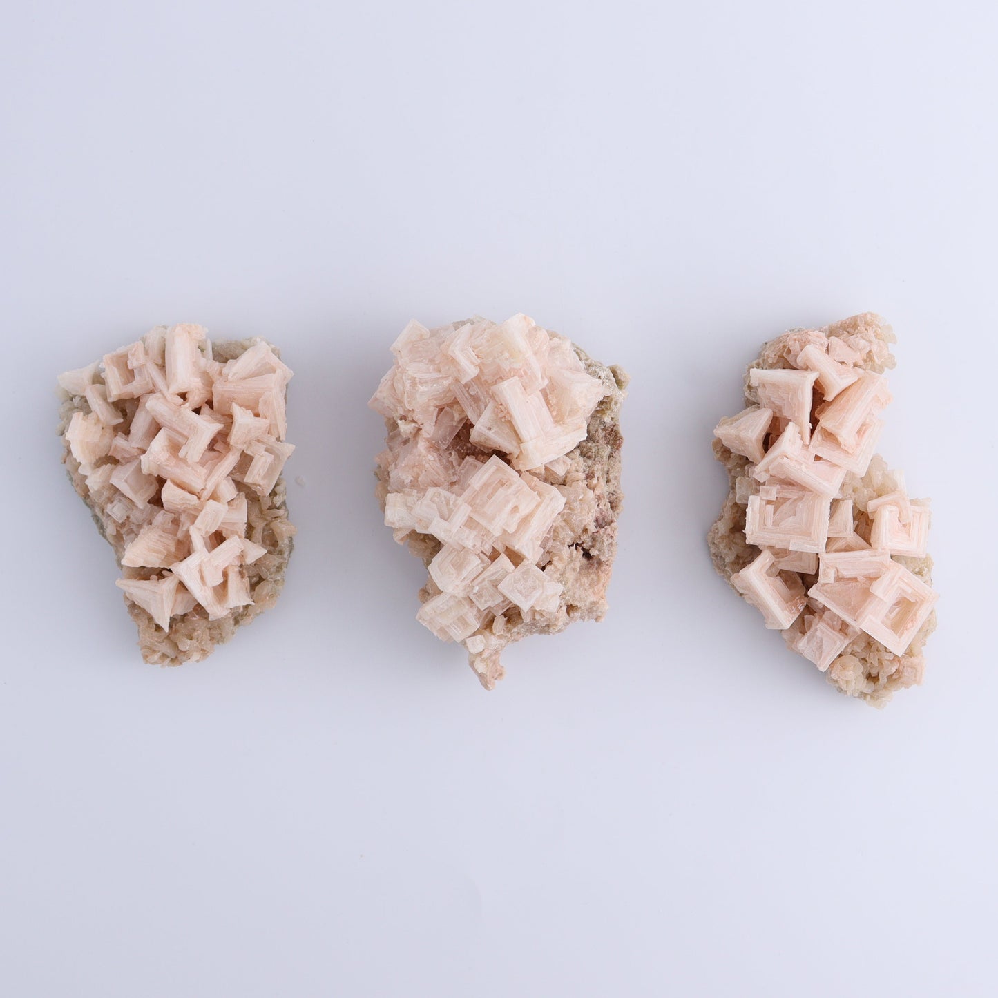 Halite on Trona from Owens Lake Set of 12 - Expert Wholesale and Supplier of Wholesale Crystals & Bulk Gemstones, ["California","Flats","Halite","halite on trona","Pink Halite","United States"]