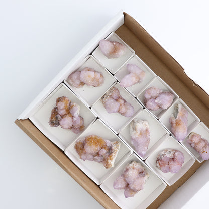Cactus Quartz Set of 12