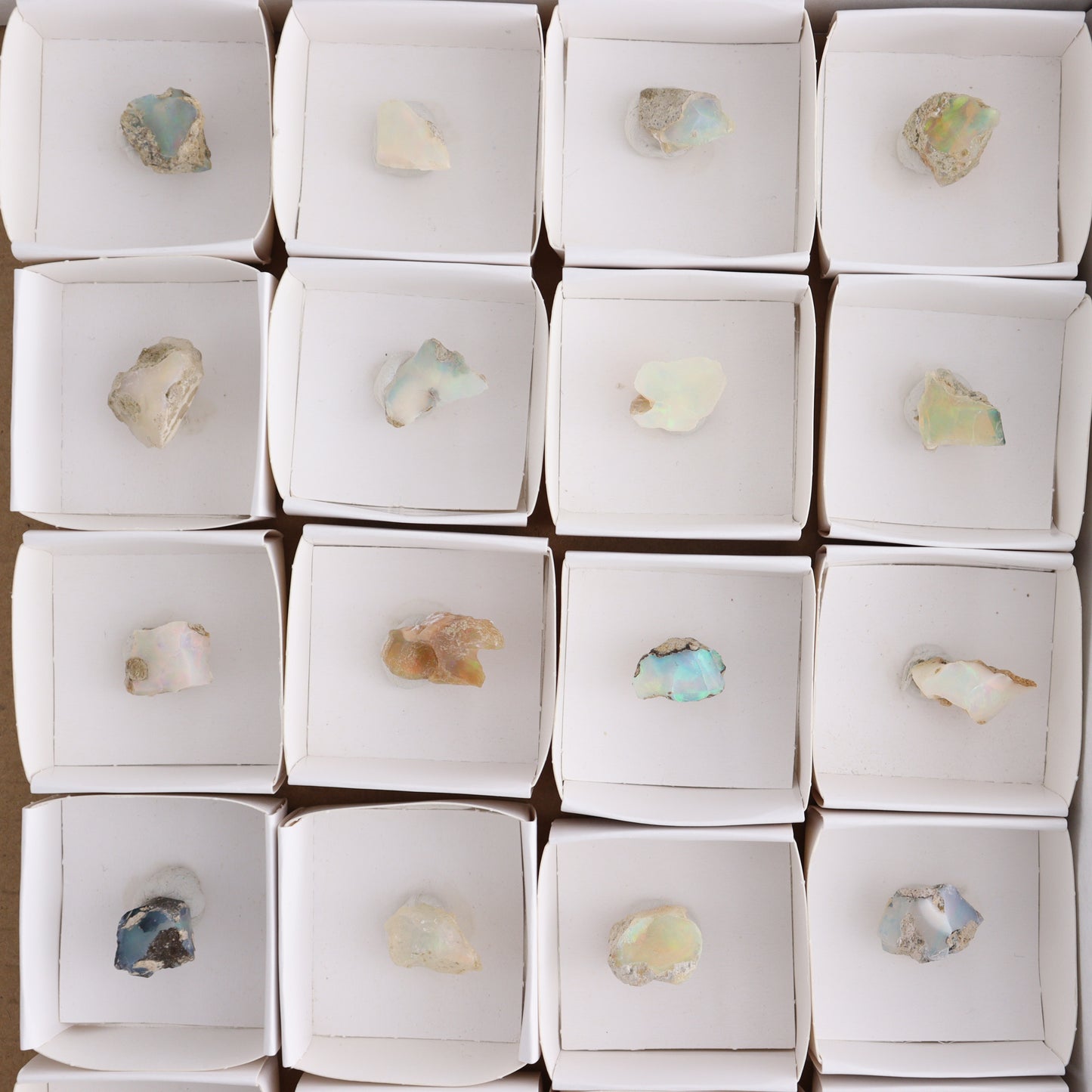 Ethiopian Opal Set of 24 - Expert Wholesale and Supplier of Wholesale Crystals & Bulk Gemstones, ["Ethiopia","ethiopian opal","Opal"]
