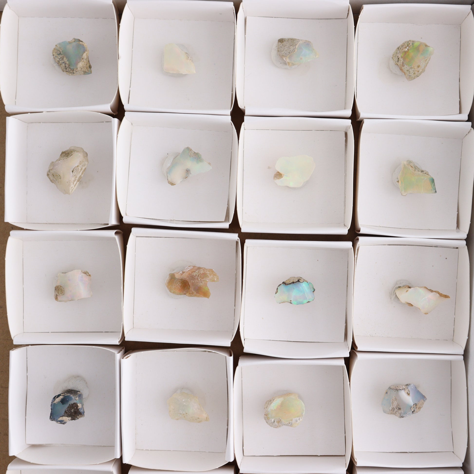 Ethiopian Opal Set of 24 - Expert Wholesale and Supplier of Wholesale Crystals & Bulk Gemstones, ["Ethiopia","ethiopian opal","Opal"]