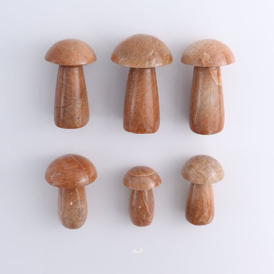 Peach Moonstone Mushrooms Set of 6