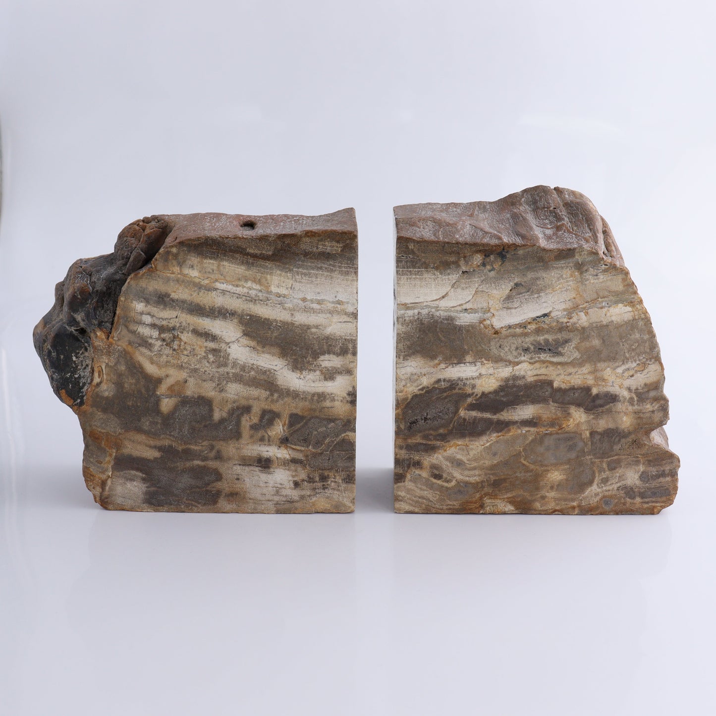 Bookends Petrified Wood - Expert Wholesale and Supplier of Wholesale Crystals & Bulk Gemstones, ["Bookends","Indonesia","Petrified Wood"]