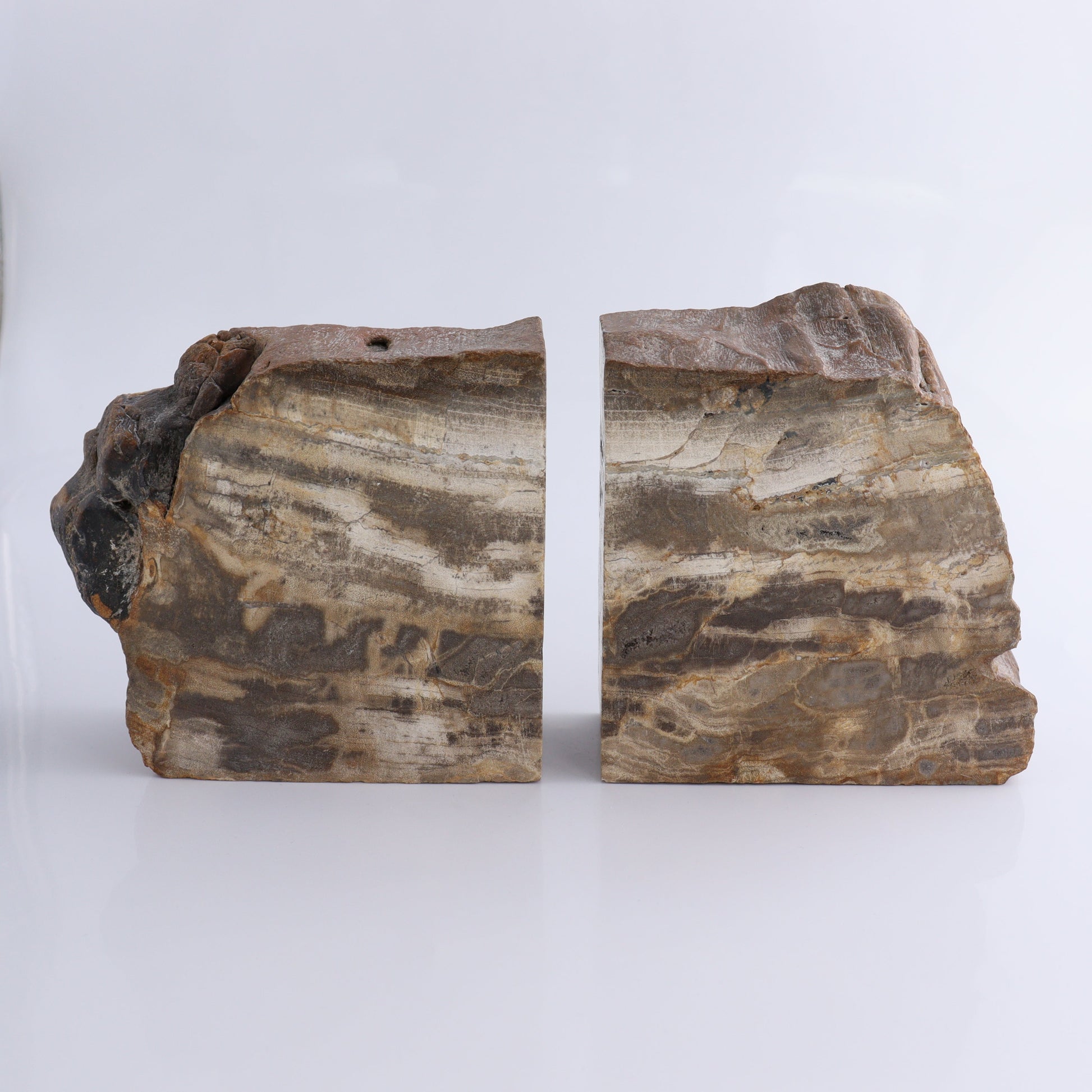 Bookends Petrified Wood - Expert Wholesale and Supplier of Wholesale Crystals & Bulk Gemstones, ["Bookends","Indonesia","Petrified Wood"]