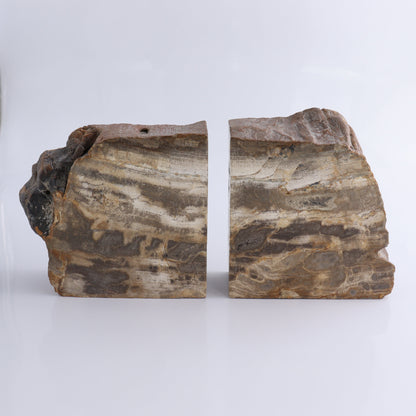 Bookends Petrified Wood - Expert Wholesale and Supplier of Wholesale Crystals & Bulk Gemstones, ["Bookends","Indonesia","Petrified Wood"]