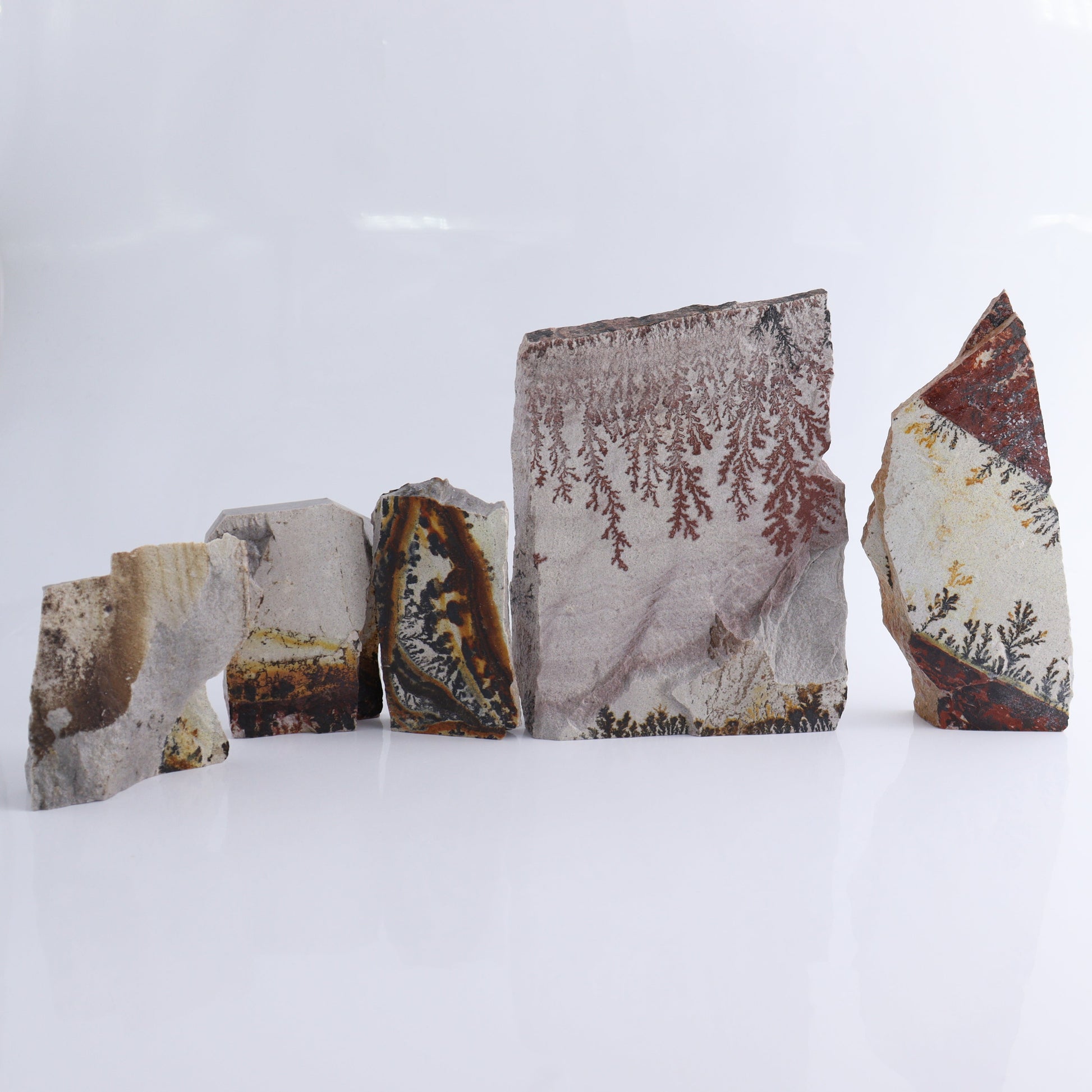 Dendrites Flat Set of 5 - Expert Wholesale and Supplier of Wholesale Crystals & Bulk Gemstones, ["Dendrite","Flats"]