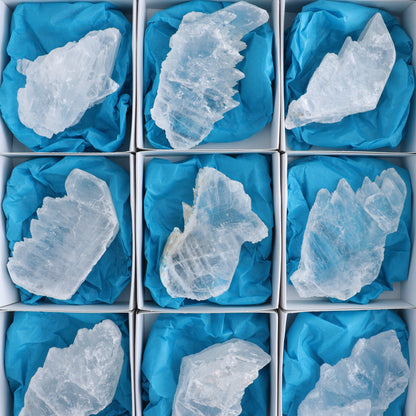Selenite Set of 12 - Expert Wholesale and Supplier of Wholesale Crystals & Bulk Gemstones, ["Rough","selenite"]