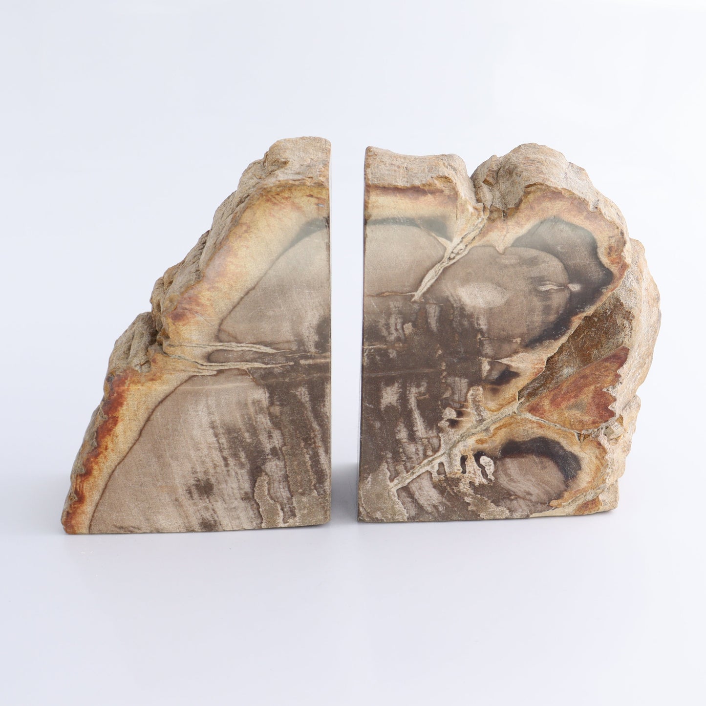 Bookends Petrified Wood - Expert Wholesale and Supplier of Wholesale Crystals & Bulk Gemstones, ["Bookends","Indonesia","Petrified Wood"]